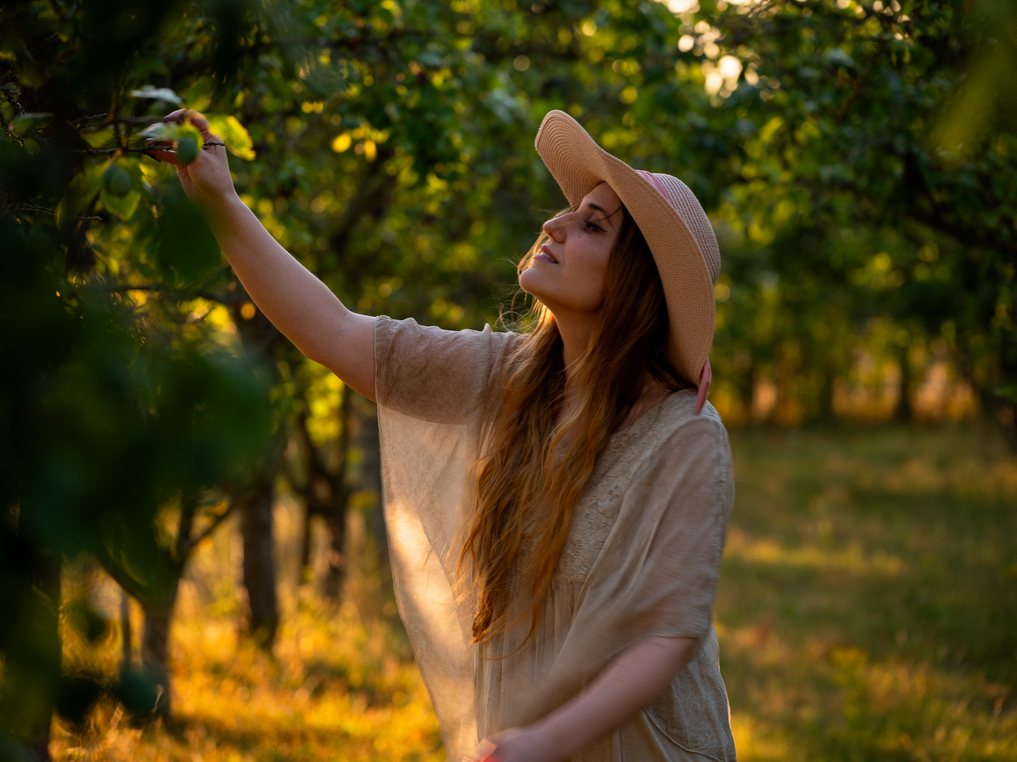 Golden-hour portrait of Andreea reaching into fruit-tree branches