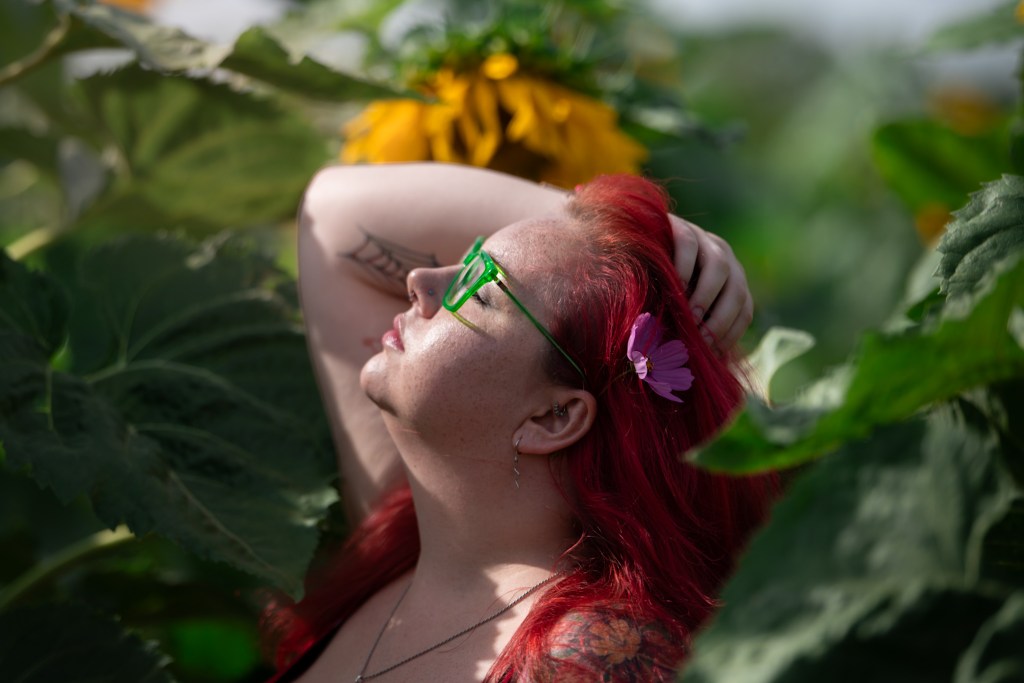 Sunflower Symphony photography collection